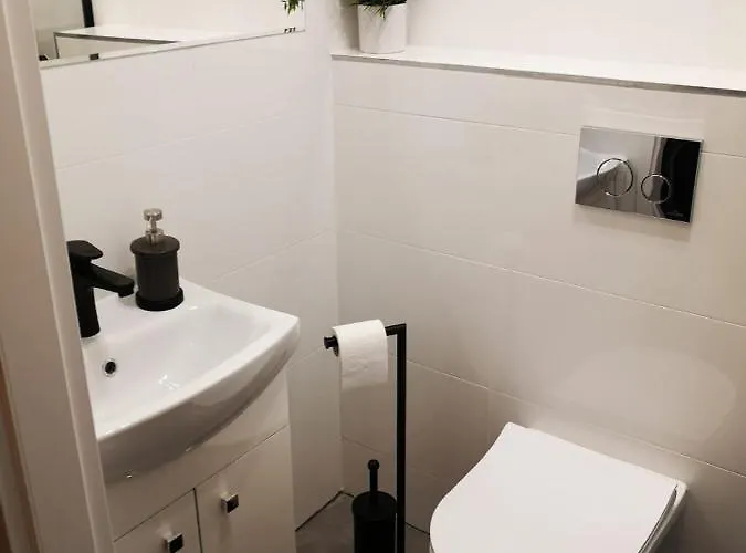 Lena 1 ראסיבורז'